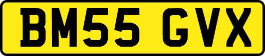 BM55GVX