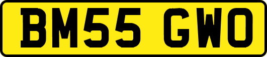 BM55GWO