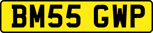 BM55GWP