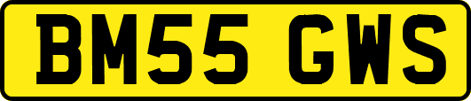 BM55GWS