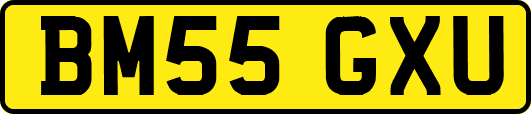 BM55GXU