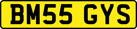 BM55GYS