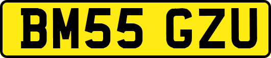BM55GZU