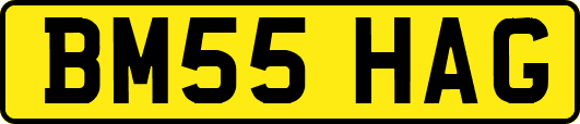BM55HAG