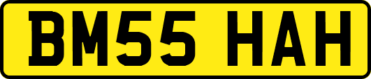 BM55HAH