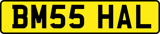 BM55HAL