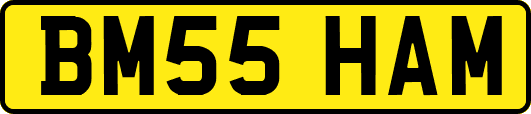BM55HAM