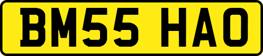 BM55HAO