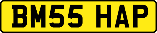 BM55HAP