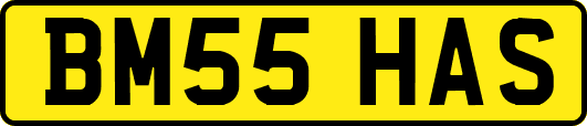 BM55HAS