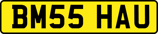 BM55HAU