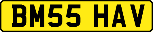 BM55HAV
