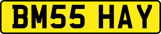 BM55HAY