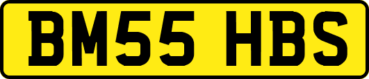 BM55HBS