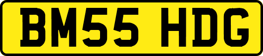 BM55HDG