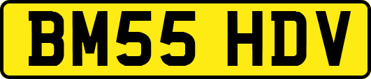 BM55HDV