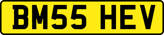 BM55HEV