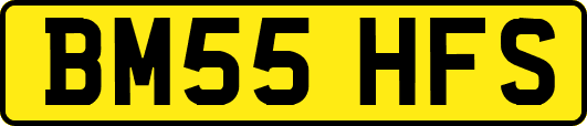 BM55HFS