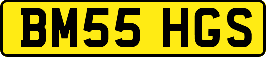 BM55HGS