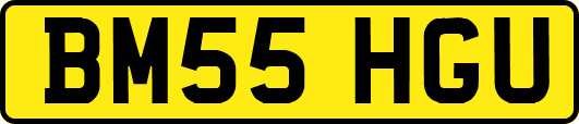 BM55HGU