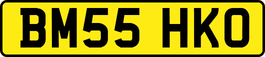 BM55HKO