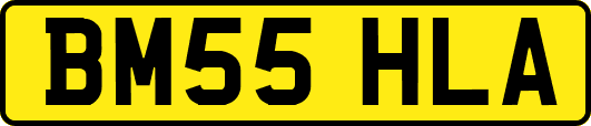 BM55HLA