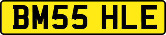 BM55HLE