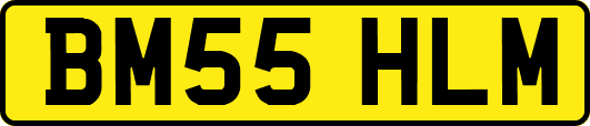 BM55HLM