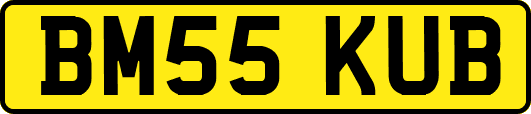 BM55KUB