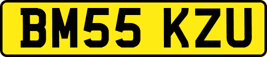 BM55KZU