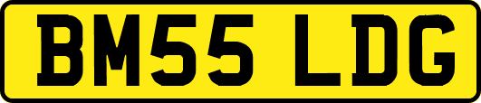 BM55LDG