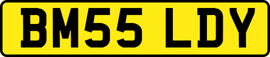 BM55LDY