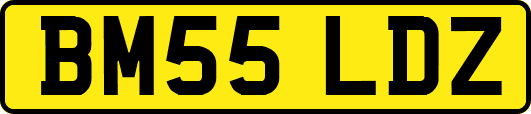 BM55LDZ
