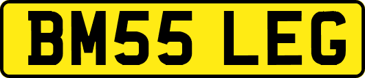 BM55LEG