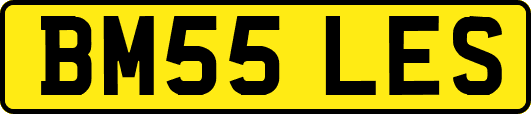 BM55LES