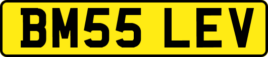BM55LEV