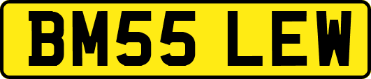 BM55LEW