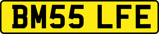 BM55LFE