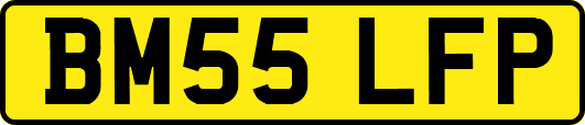 BM55LFP