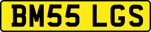 BM55LGS