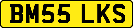 BM55LKS