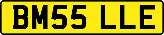BM55LLE