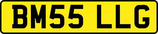 BM55LLG
