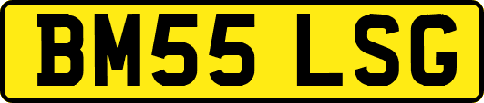 BM55LSG