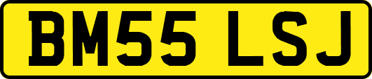 BM55LSJ