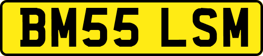 BM55LSM