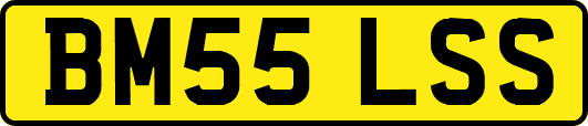 BM55LSS