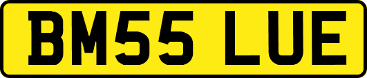 BM55LUE