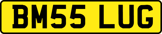 BM55LUG