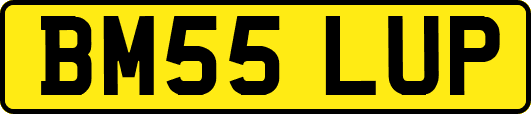 BM55LUP